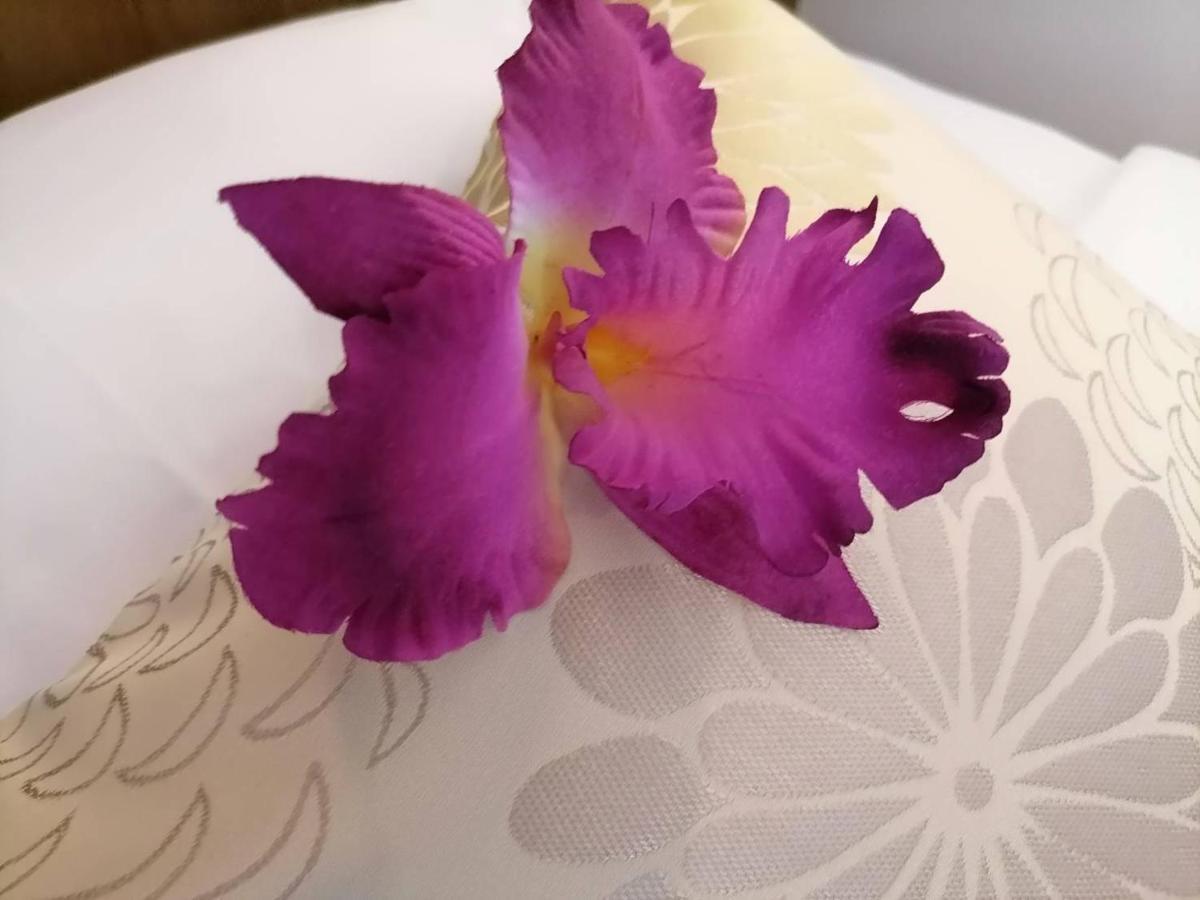 Nj Patong Hotel 외부 사진