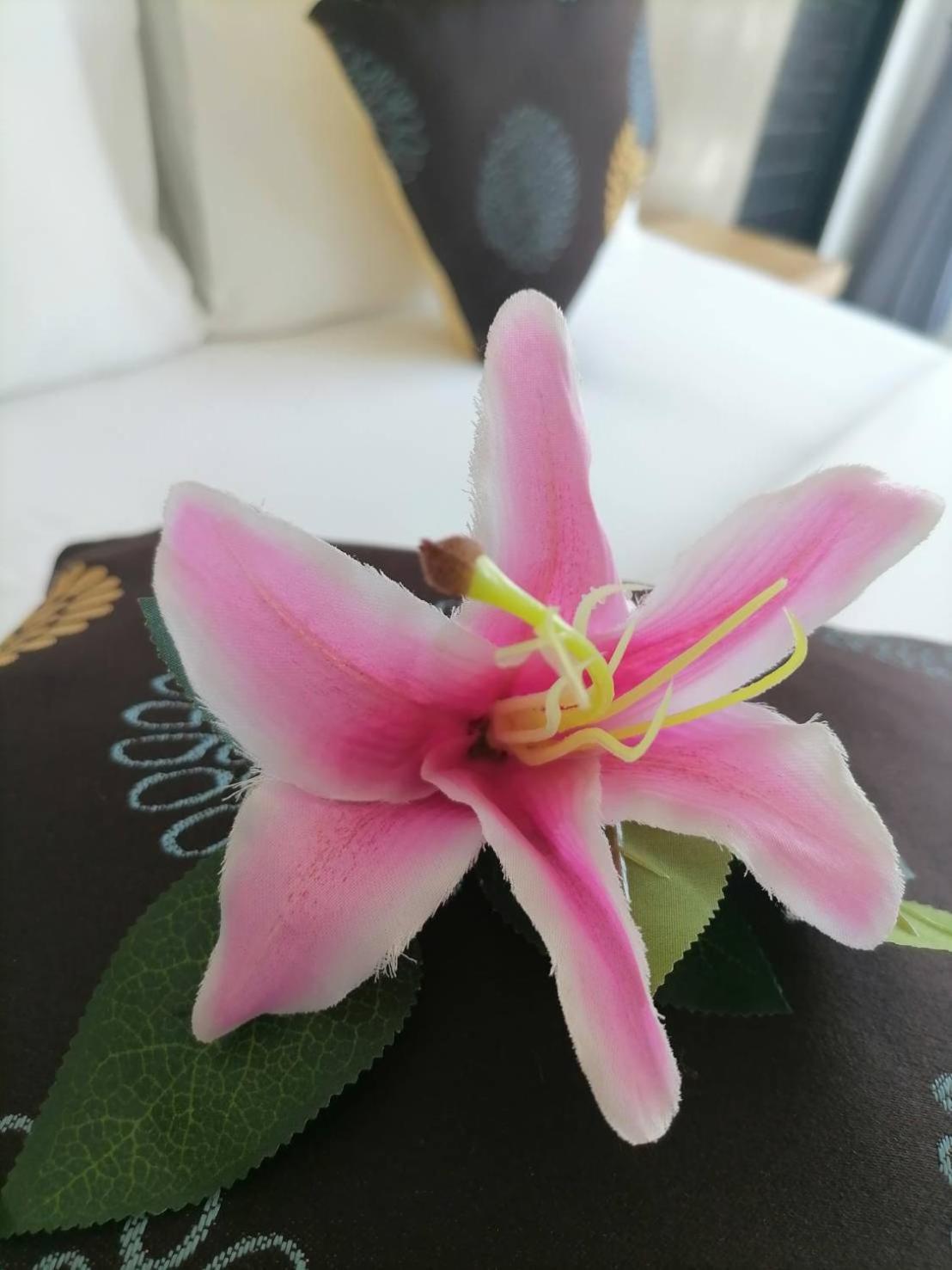 Nj Patong Hotel 외부 사진